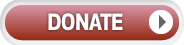 PayPal - The safer, easier way to donate online!
